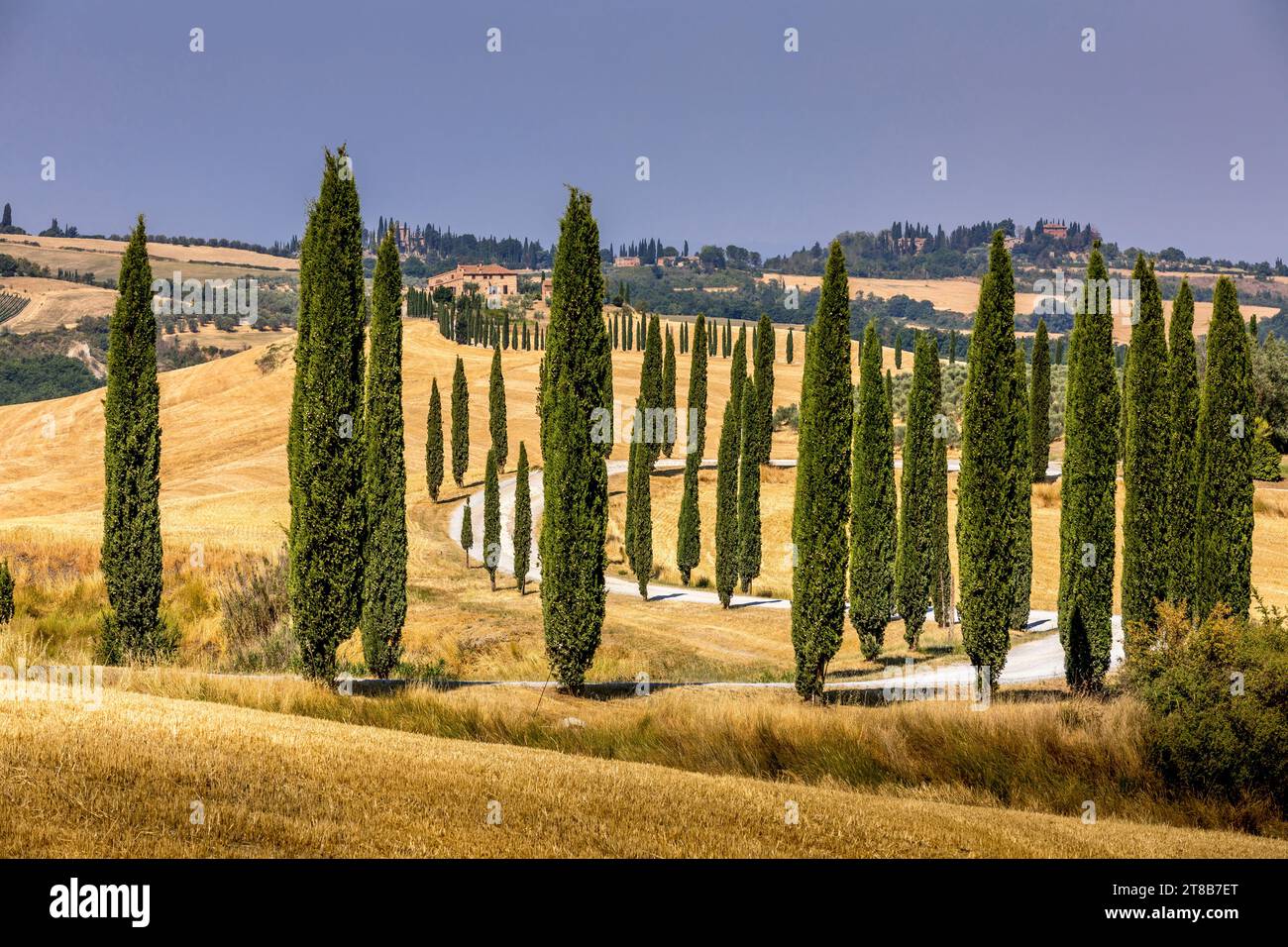Asciano Italy July 22 2023 Tuscan Landscape One Of The Most Asciano Italy July 22 2023 Tuscan Landscape One Of The Most