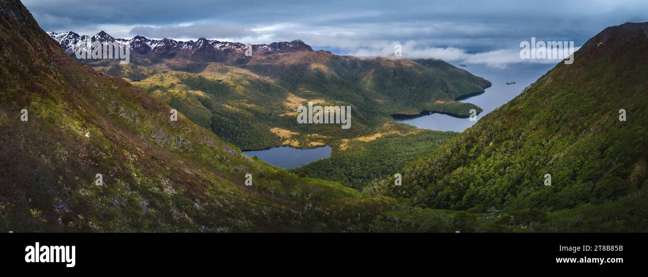 temperate-rainforest-at-cape-horn-biosphere-reserve-in-magellanic-sub