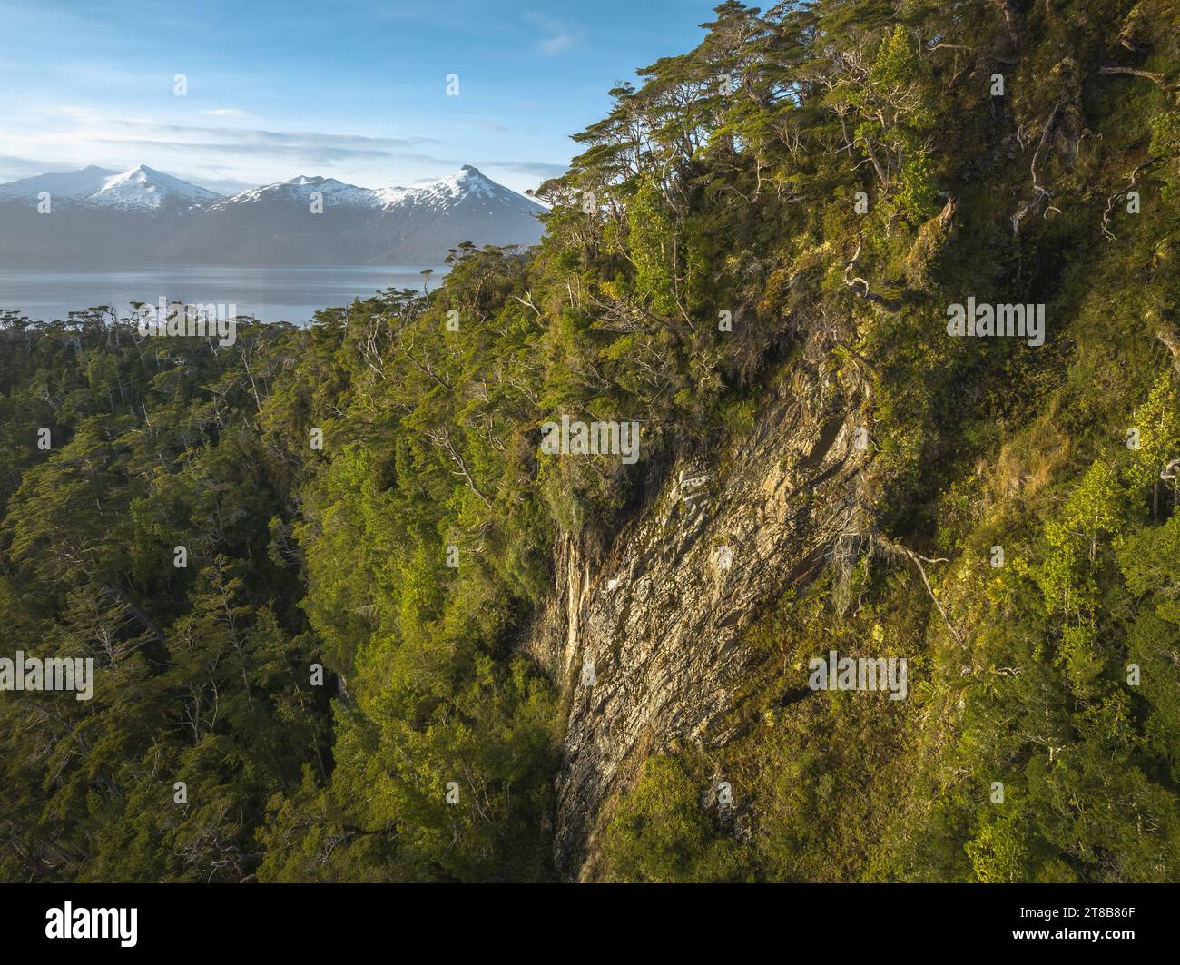 Temperate rainforest at Cape Horn Biosphere Reserve in Magellanic sub