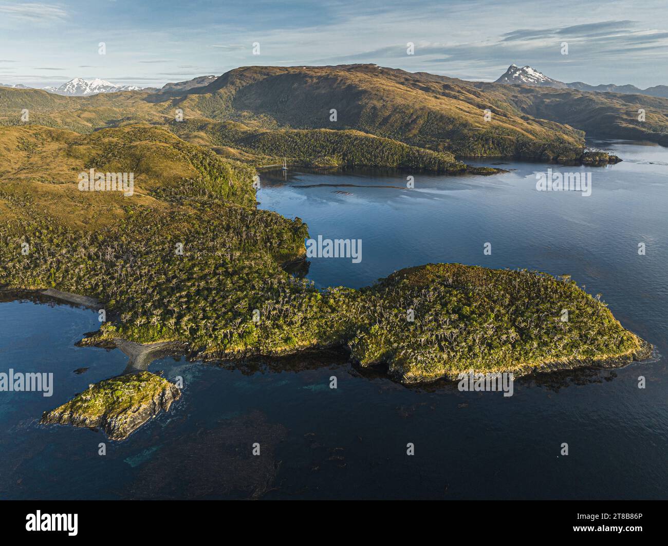 temperate-rainforest-at-cape-horn-biosphere-reserve-in-magellanic-sub