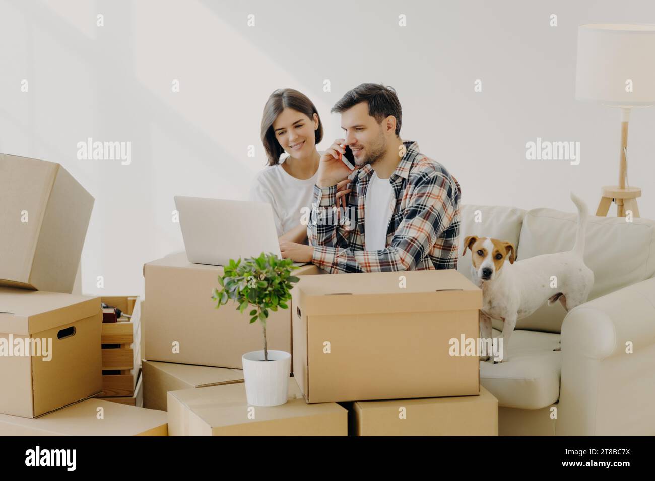 Couple and dog with laptop on couch amidst moving boxes in a light, minimalist room Stock Photo