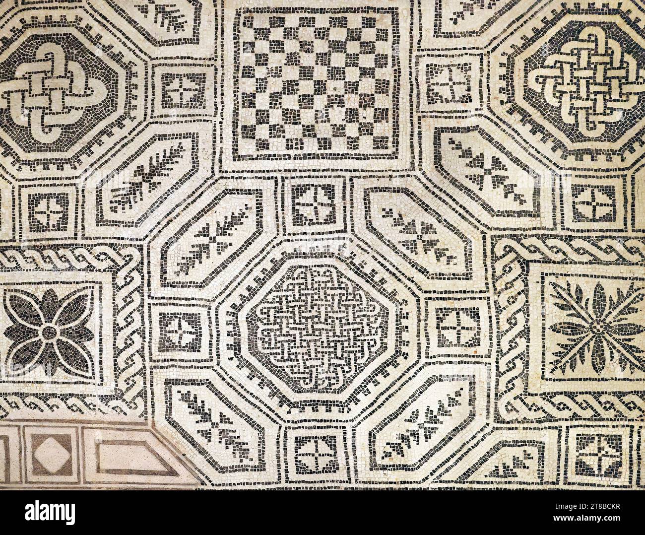 Ancient roman mosaic floor hi-res stock photography and images - Alamy