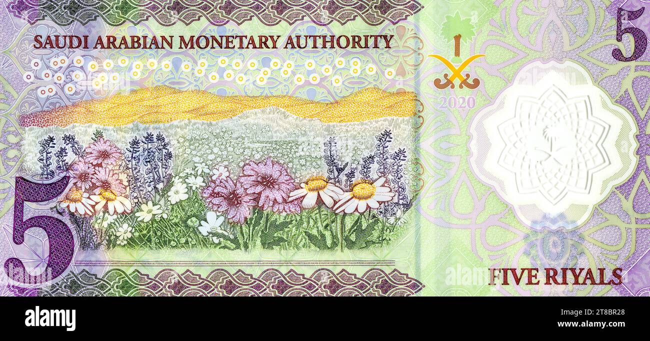 Large fragment of the reverse side with field of flowers of the polymer 5 SAR five Saudi Arabia riyals banknote Stock Photo