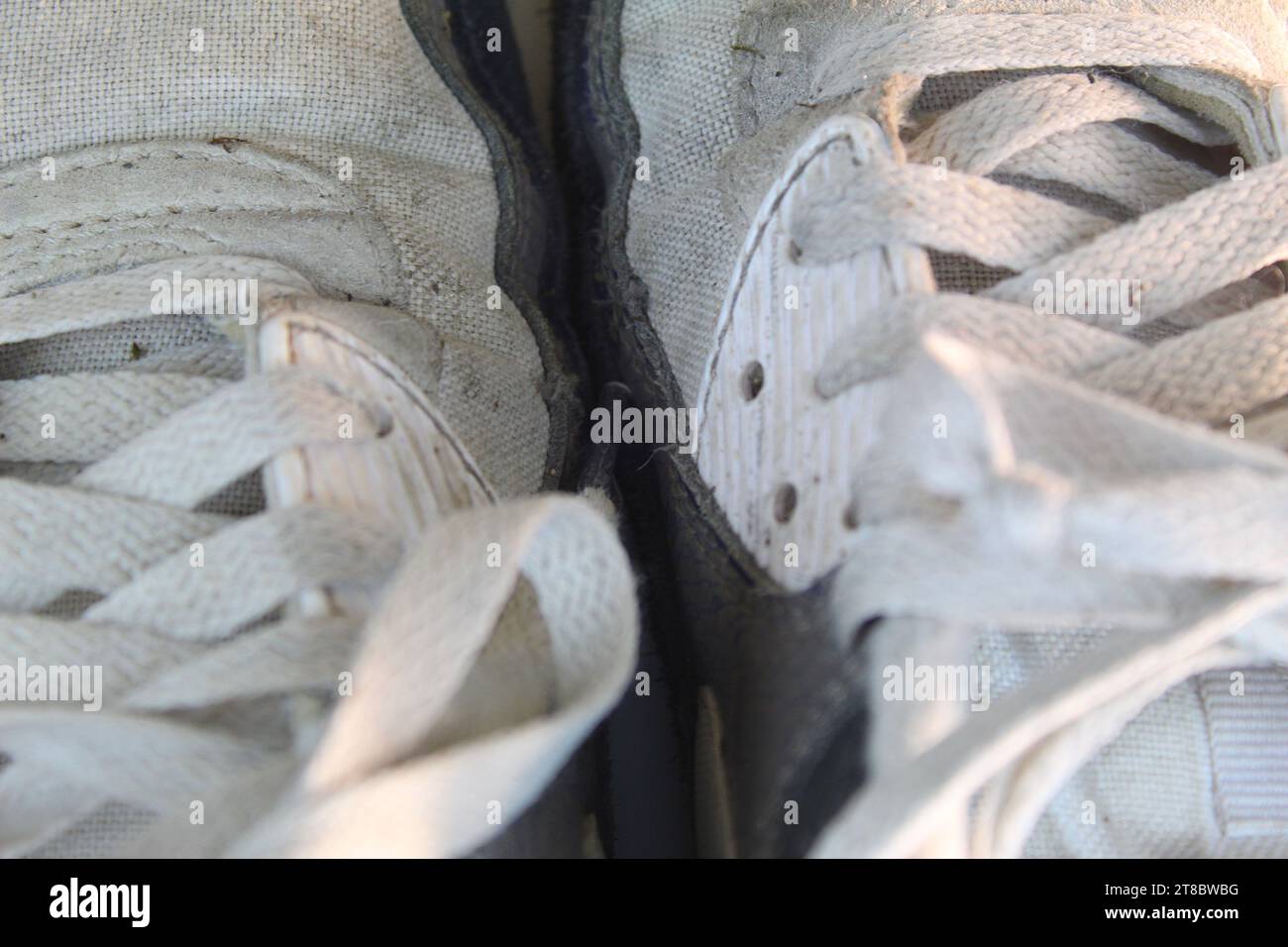 A close up photo of the shoelaces of white dirty Nike Air Max 90 Runners on a white desk. Stock Photo