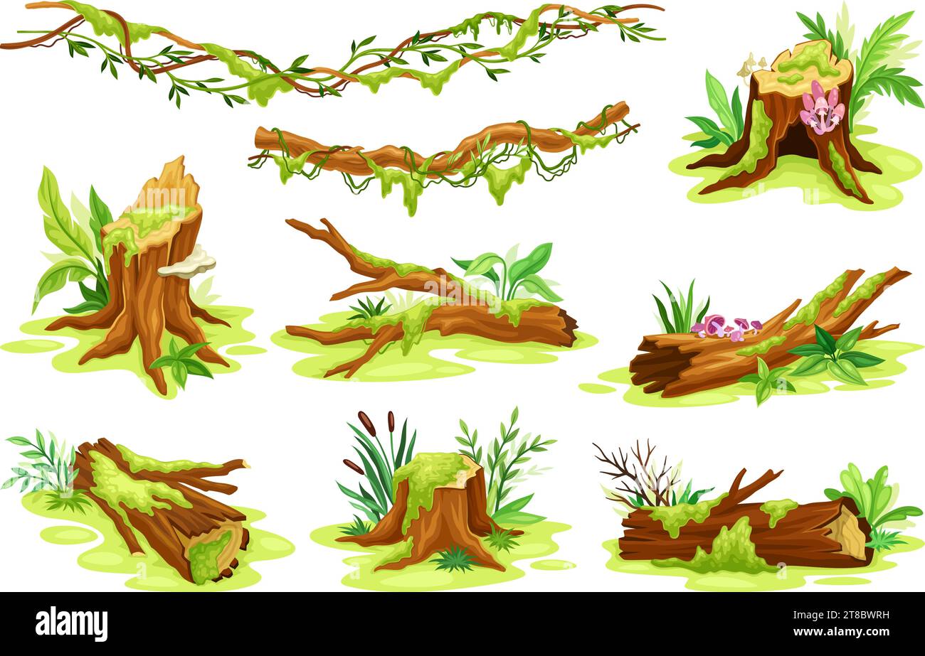 Moss on trees. Forest fungus on tree bark wood hollow stump, cartoon