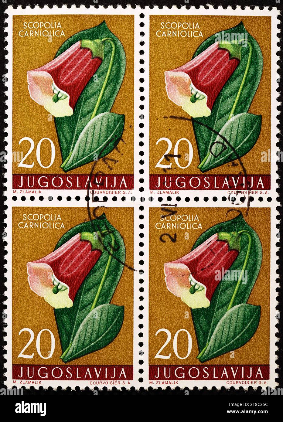 Scopolia carniolica 'Scopolia' - YUGOSLAVIA, POSTAGE STAMP Stock Photo