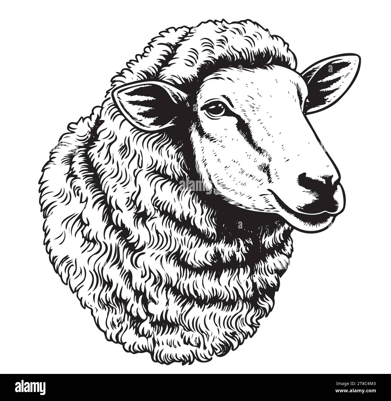 Sheep head portrait illustration, drawing engraving ink, line art, vector Stock Vector