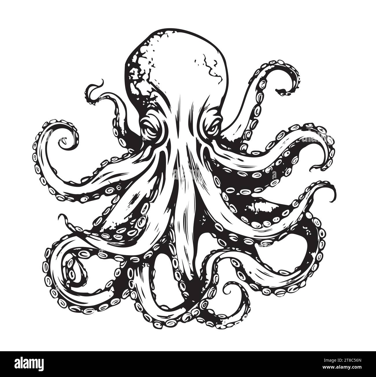 Octopus Vintage Vector Art isolated on white. Engraving style vector illustration of octopus. Sea animals Stock Vector