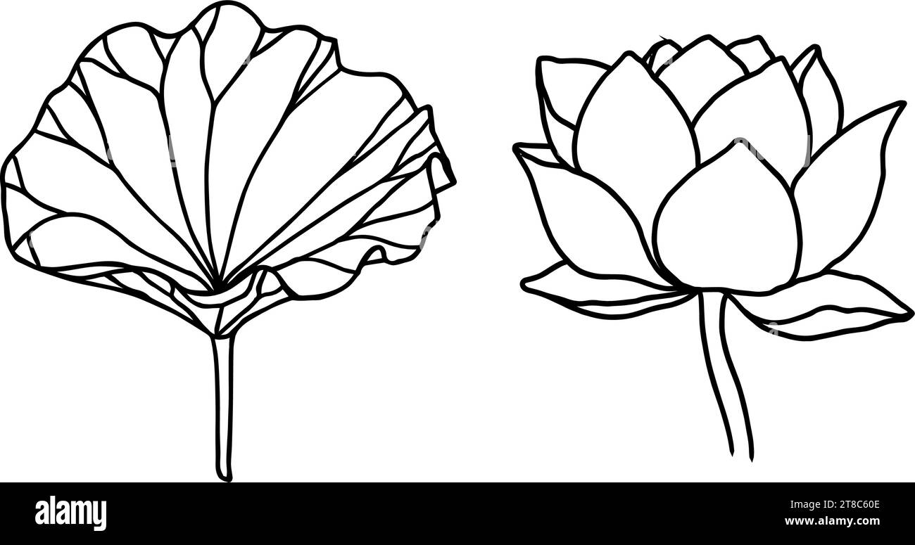 lotus flowers, leaves and buds black line art. Set of vector illustration. Outline floral drawing for for logo, tattoo, packaging design, compositions Stock Vector
