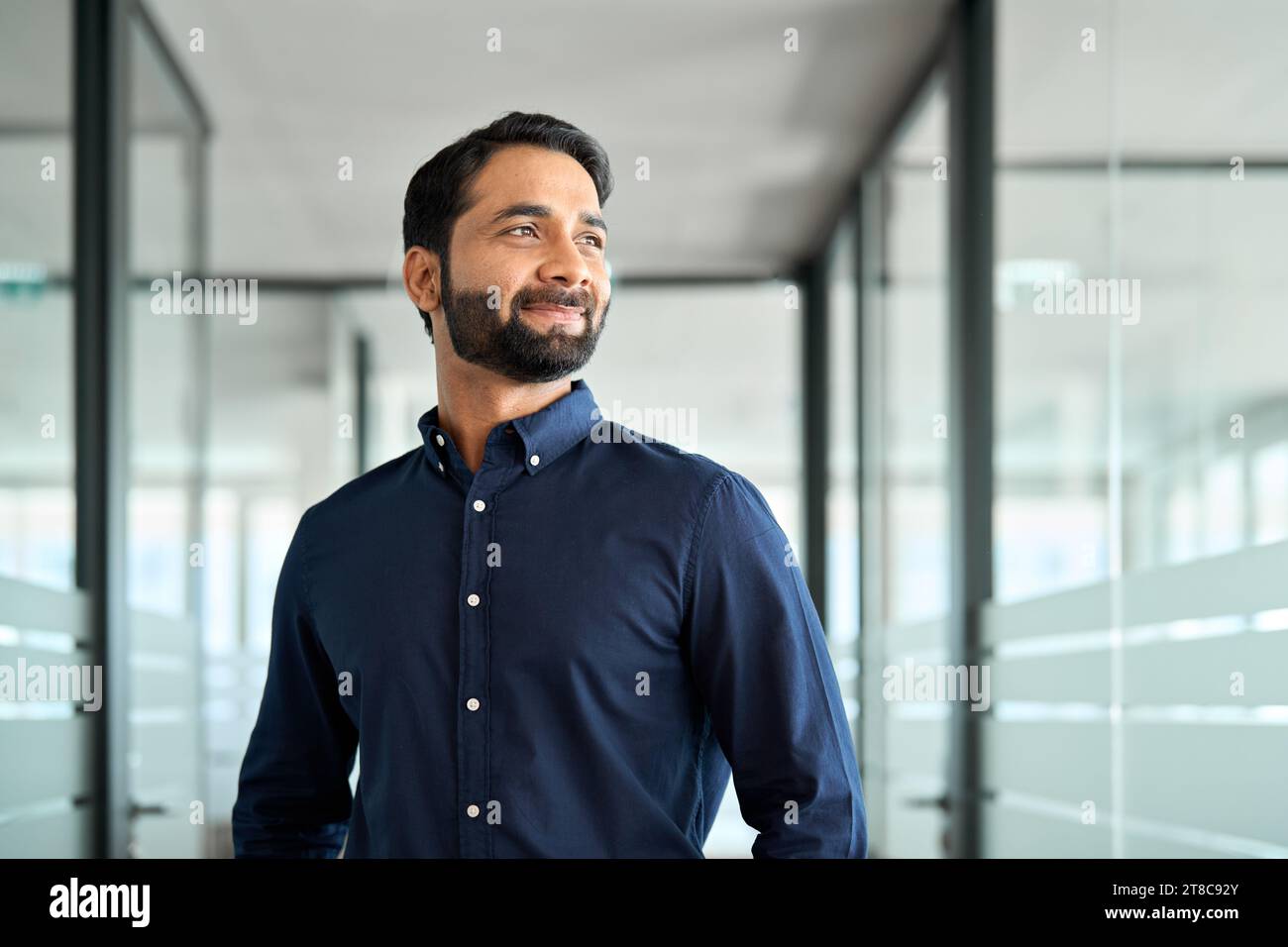 Indian business man successful hi-res stock photography and images - Alamy