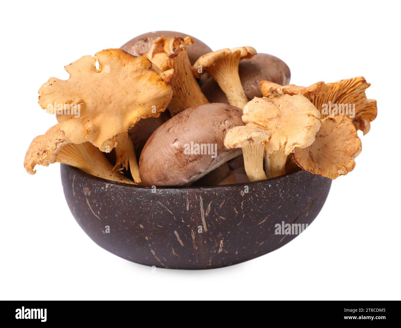 Bowl of chanterelle and champignon mushrooms isolated on white Stock