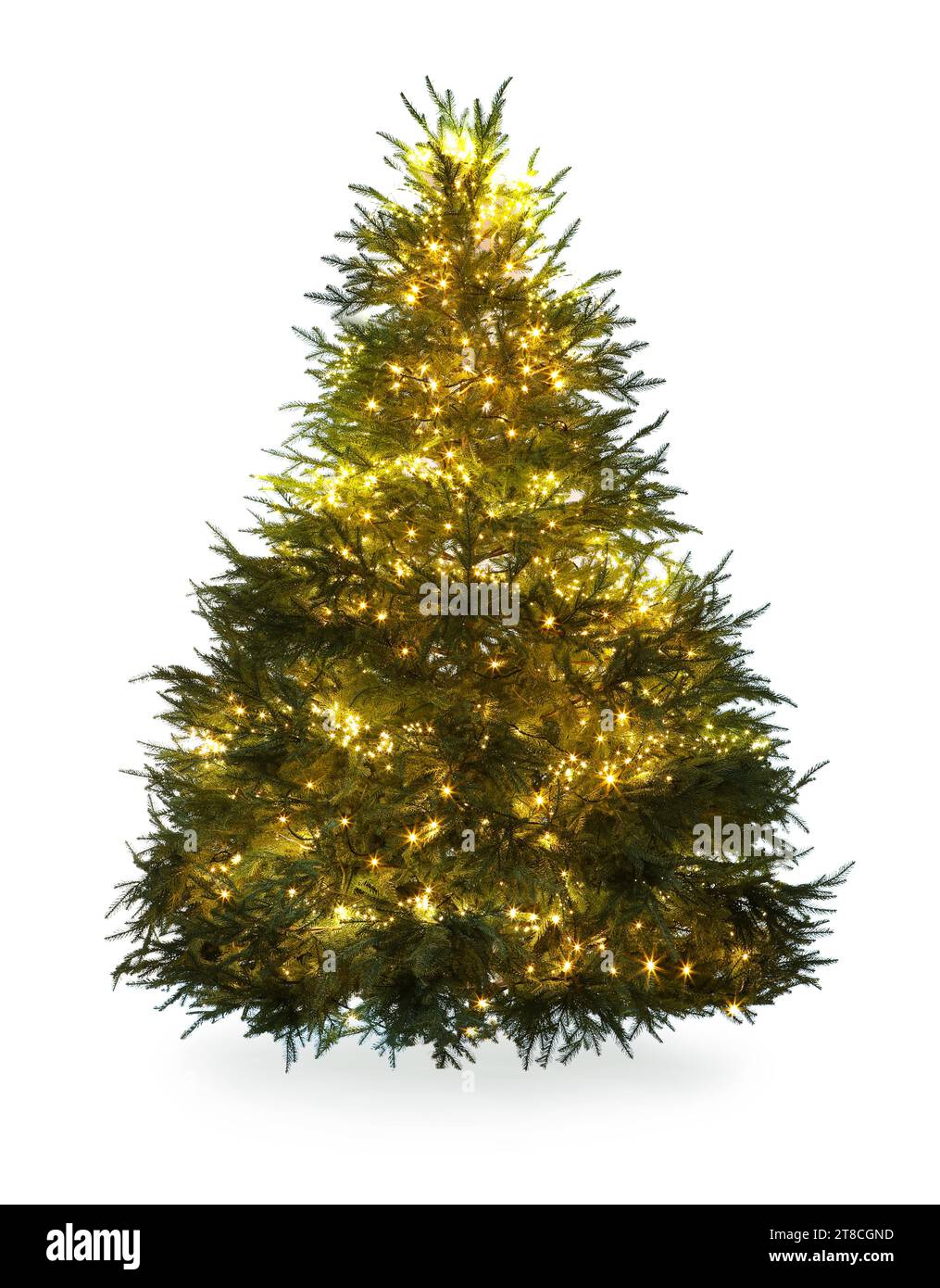 Beautiful Christmas tree with festive lights isolated on white Stock ...