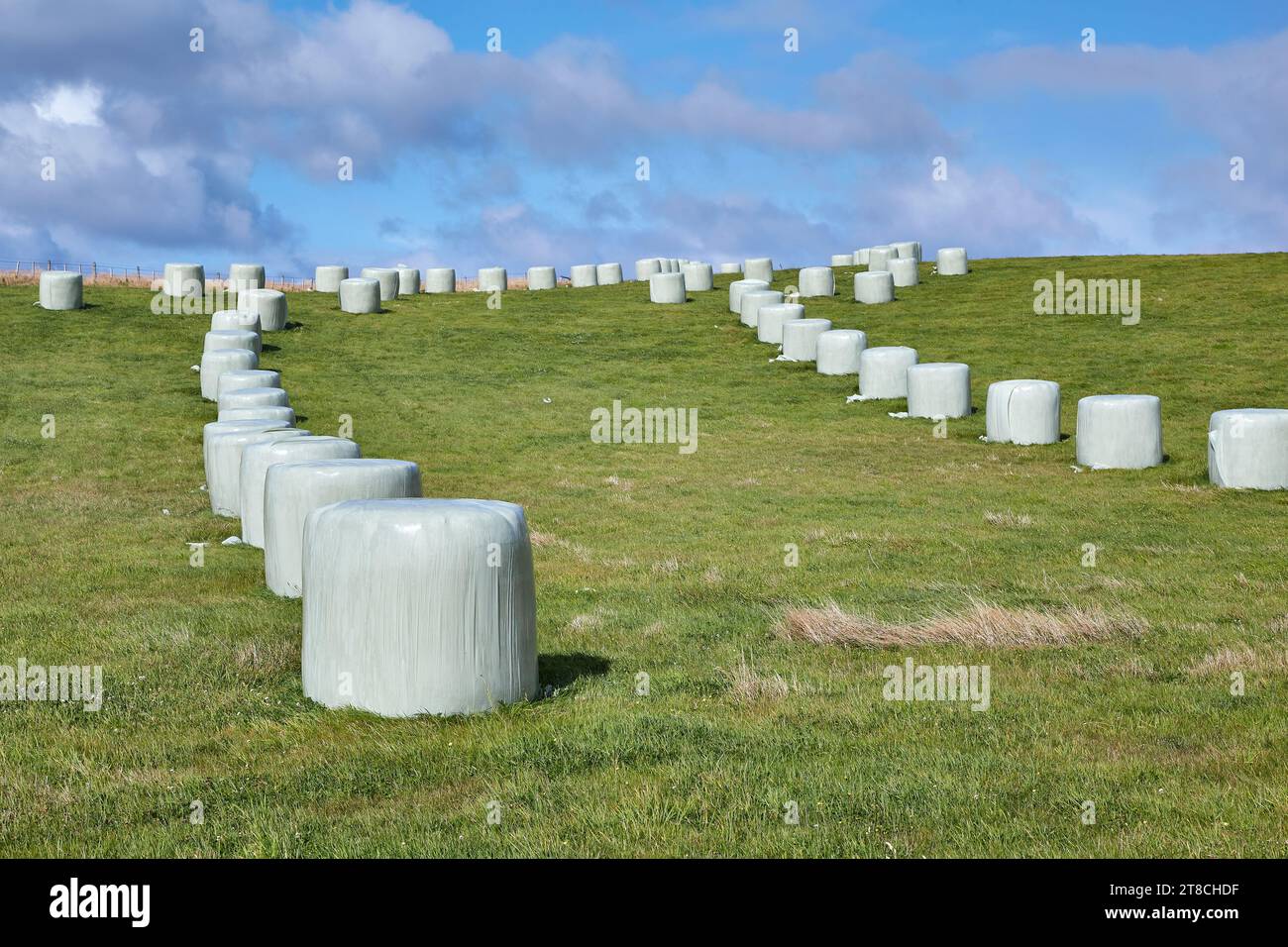 Agricultural field with hay bales Stock Photo - Alamy