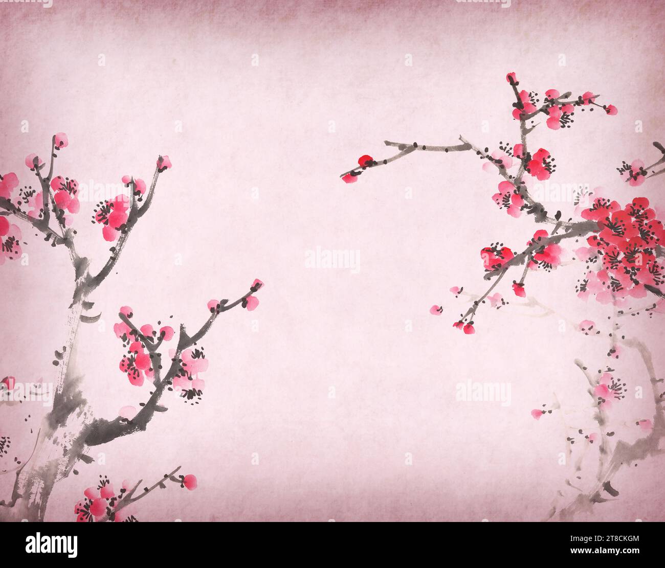 Traditional chinese painting Spring plum blossom on Old vintage paper background Stock Photo