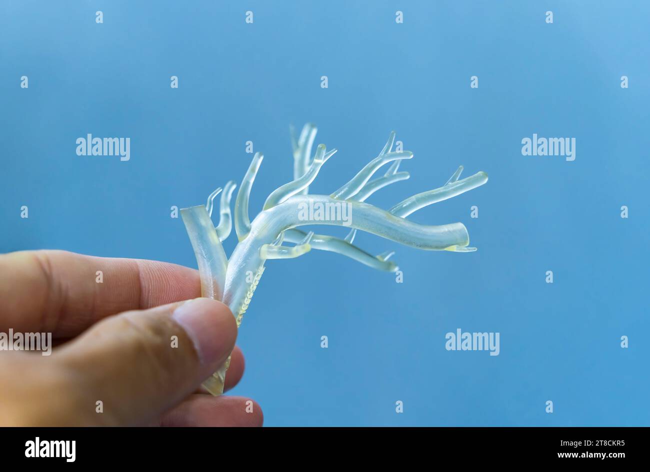 hand with object in shape of medically accurate a human blood vessel printed on 3d printer Stock Photo
