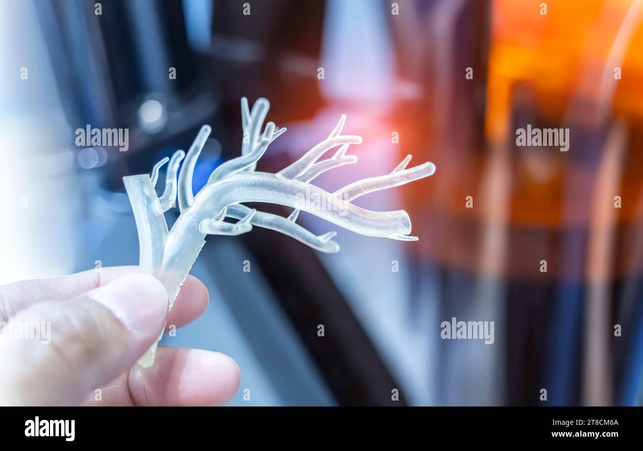 hand with object in shape of medically accurate a human blood vessel printed on 3d printer Stock Photo