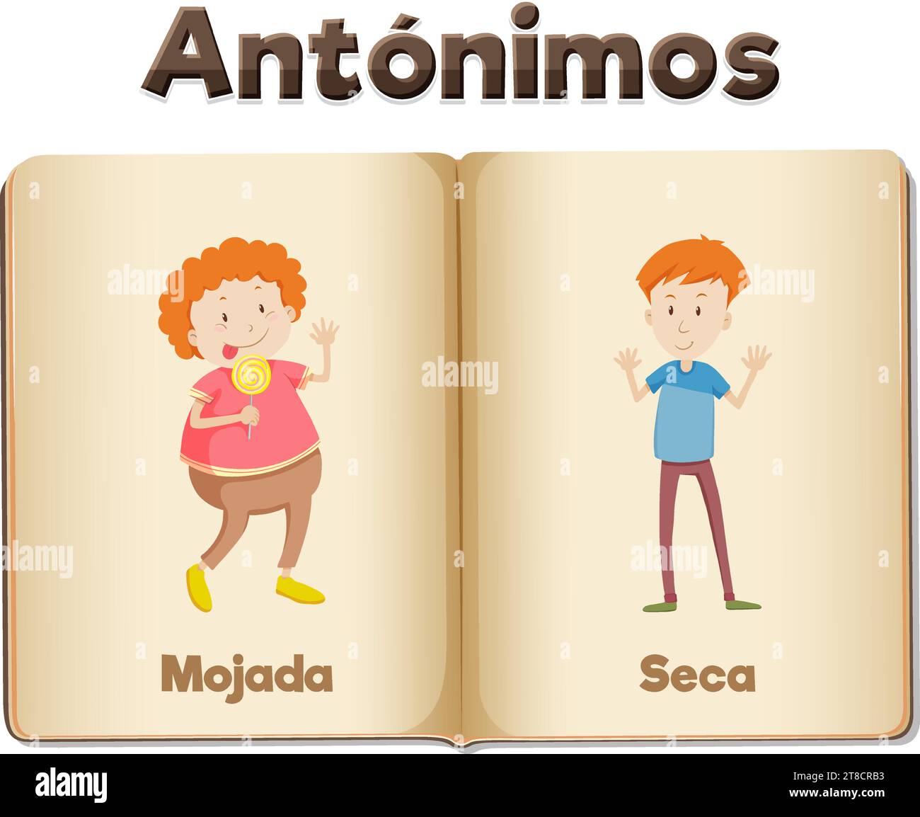 Illustrated picture word card teaching fat and slim in Spanish Stock