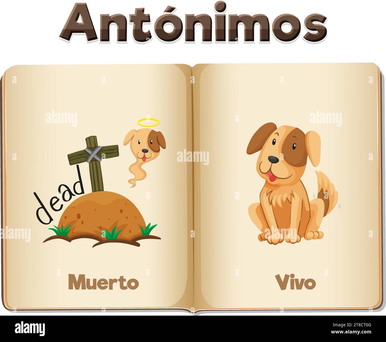A vibrant vector illustration showcasing the Spanish words 'Muerto' and 'Vivo' on a word card Stock Vector