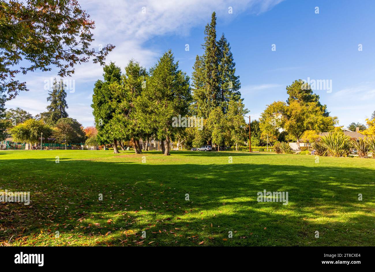 Beautiful landscape with lawn and trees in the small neighborhood park