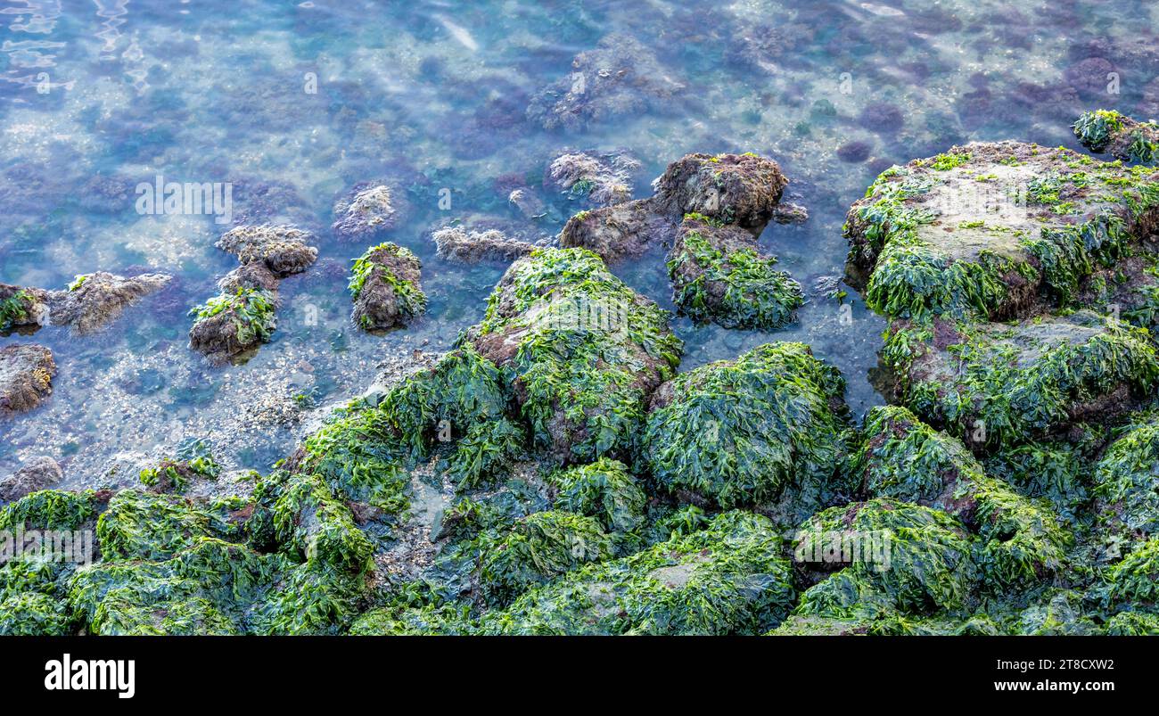 Bay area california hi-res stock photography and images - Alamy