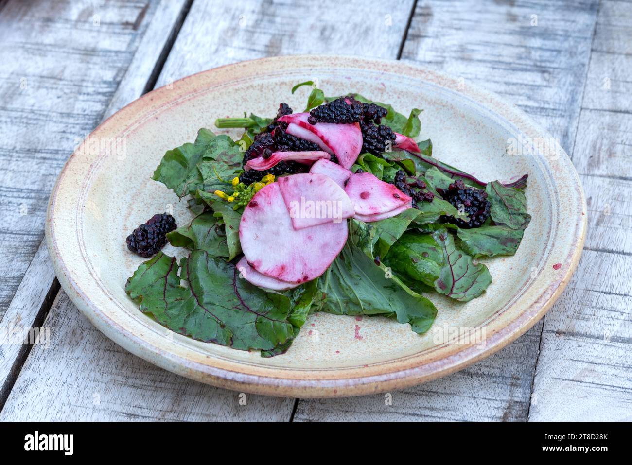 Beet green, turnip and blackberry salad at the Minam River Lodge, Oregon. Stock Photo