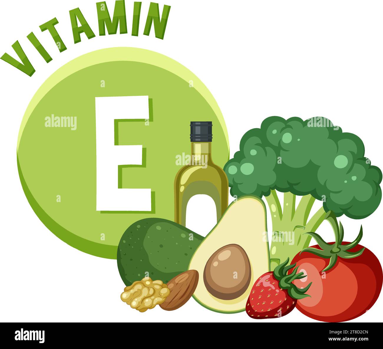 Discover the vitamin Erich foods in this educational poster Stock