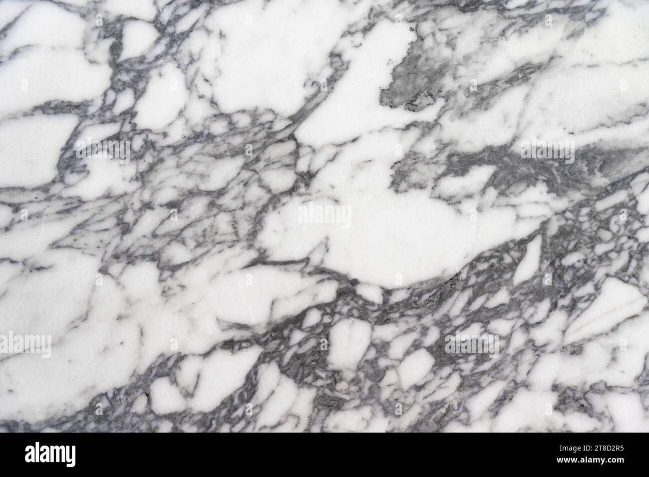 black and white marble pattern abstract background, creative texture of marble Stock Photo