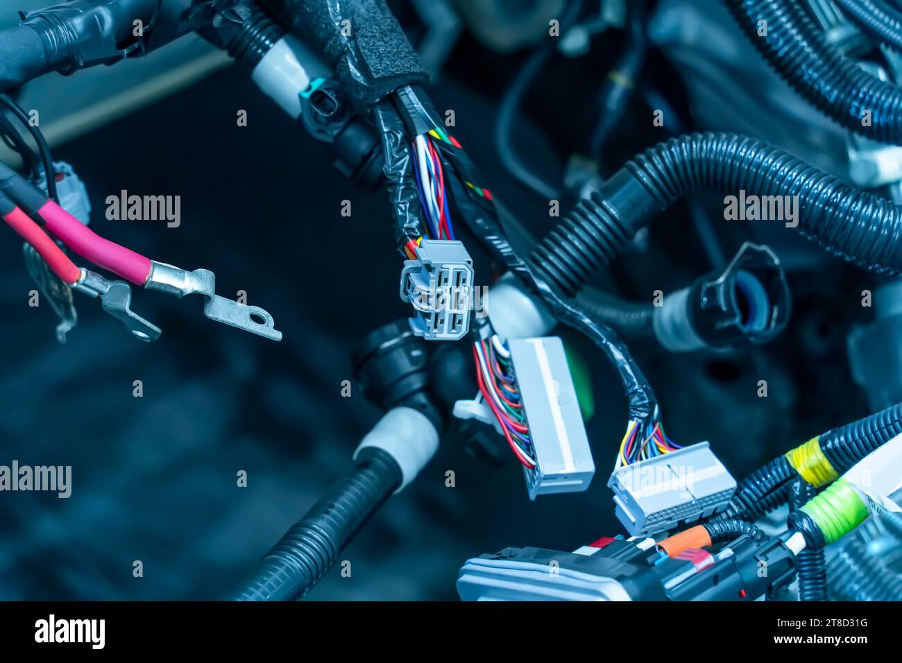 Large wide cable with wires and connectors and terminals in the wiring