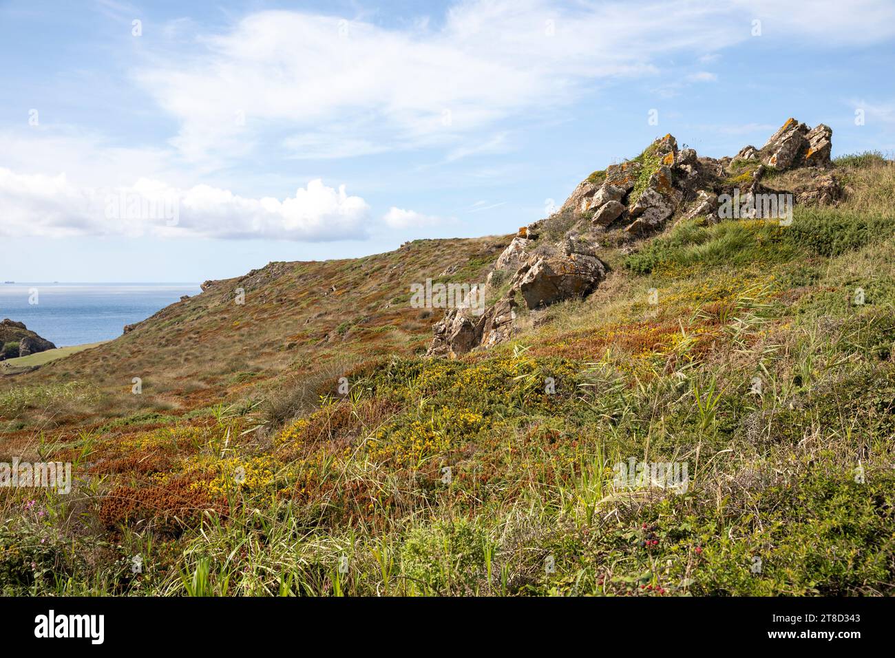 Kynance Cove Cornwall, landscape around Kynance Cove and national trust property, Cornwall