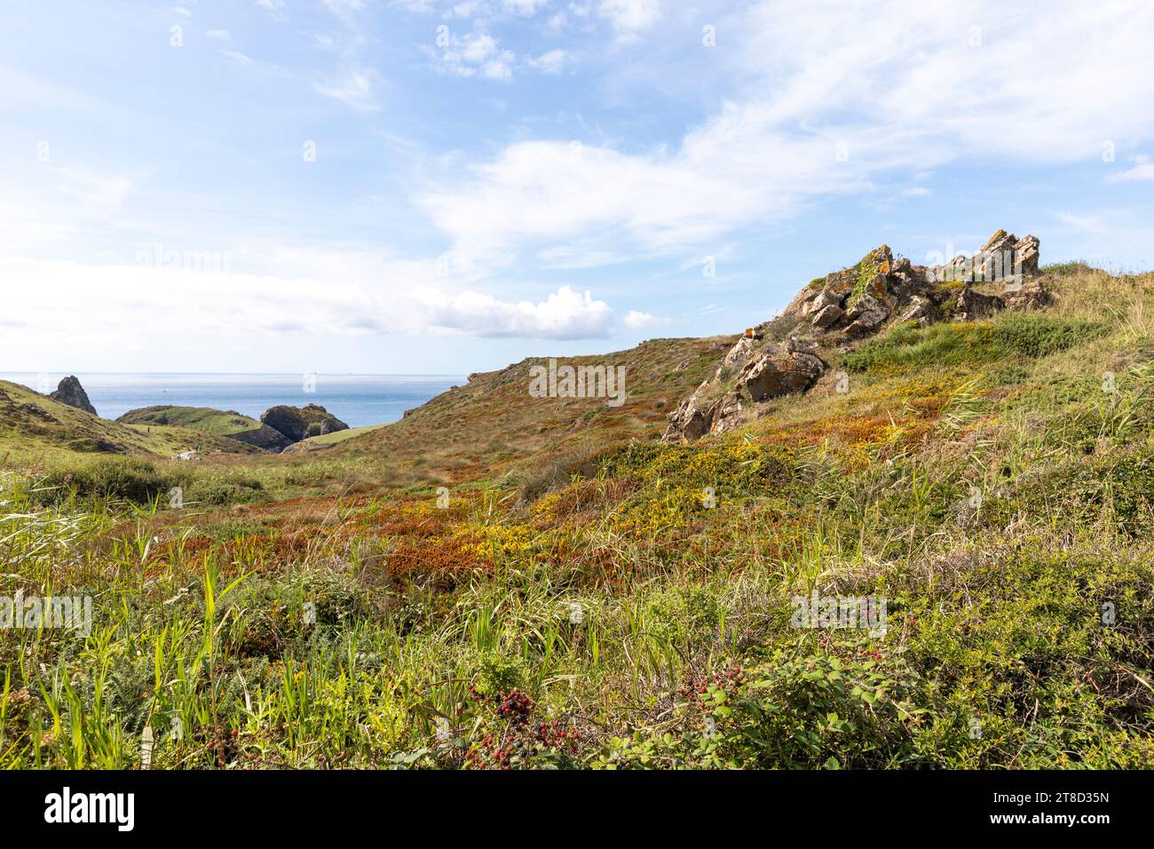 Kynance Cove Cornwall, landscape around Kynance Cove and national trust