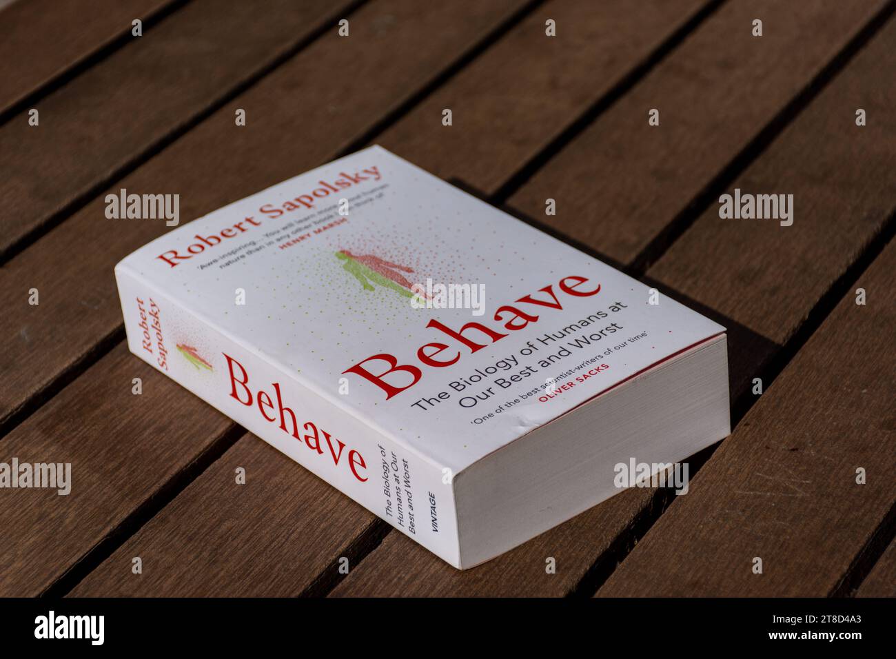 Close-up Robert Sapolsky's Behave book on a wooden table. Stock Photo