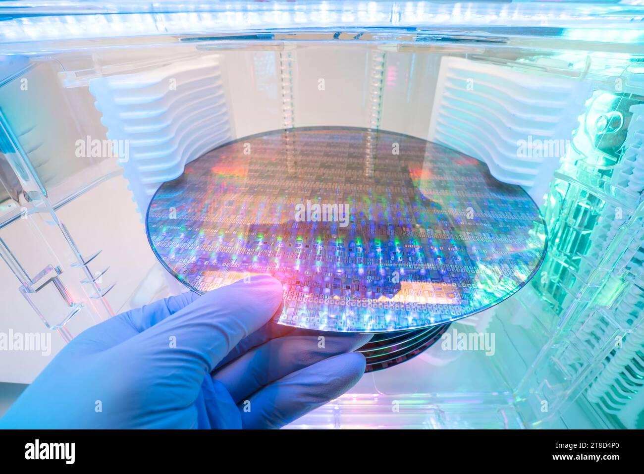 Gloved Hand Holding a Silicon Wafer in plastic holder box used in electronics for the fabrication of integrated circuits Stock Photo