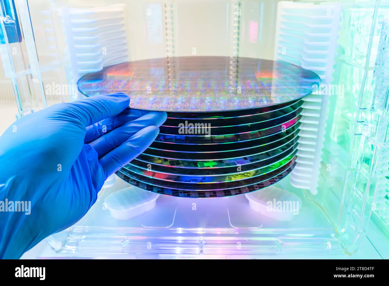 Gloved Hand Holding a Silicon Wafer in plastic holder box Stock Photo