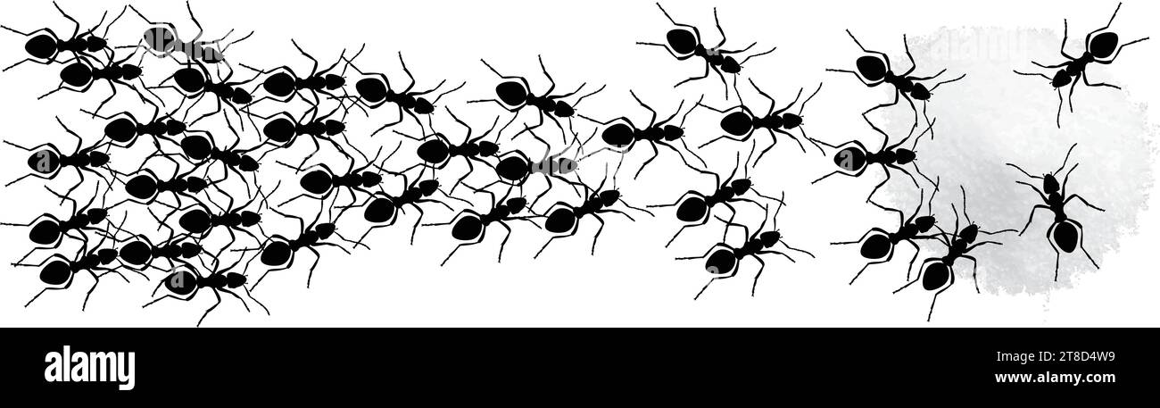 Ant bait with Boric Acid, sugar and water. Ant trap. Insecticide. Prohibited sign no insect. Vector illustration on white background Stock Vector