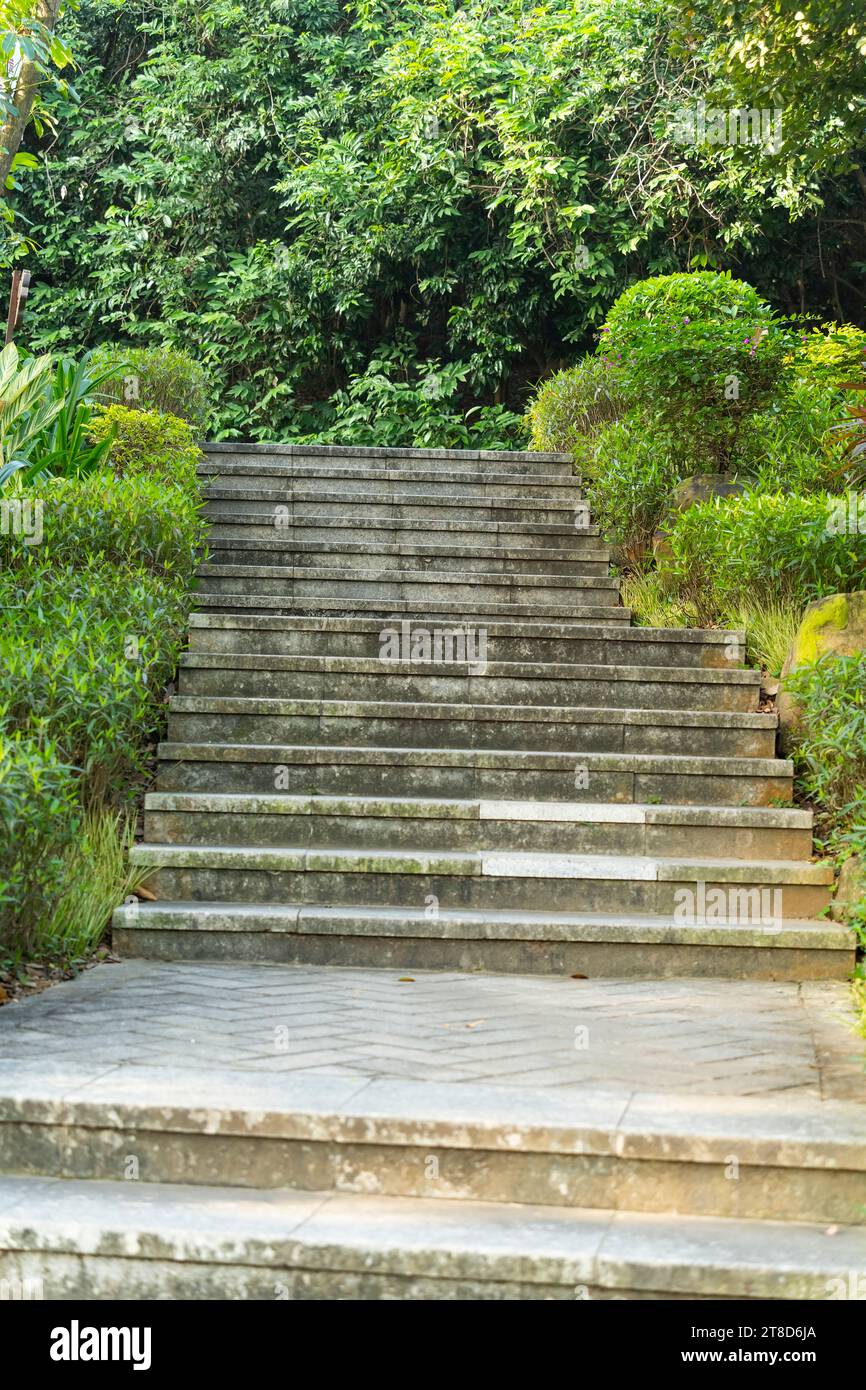 Maple wood stairs hi-res stock photography and images - Alamy