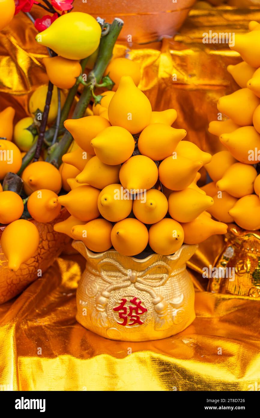 Ornamental solanum mammosum plant representing lucky symbols in Chinese Stock Photo Alamy