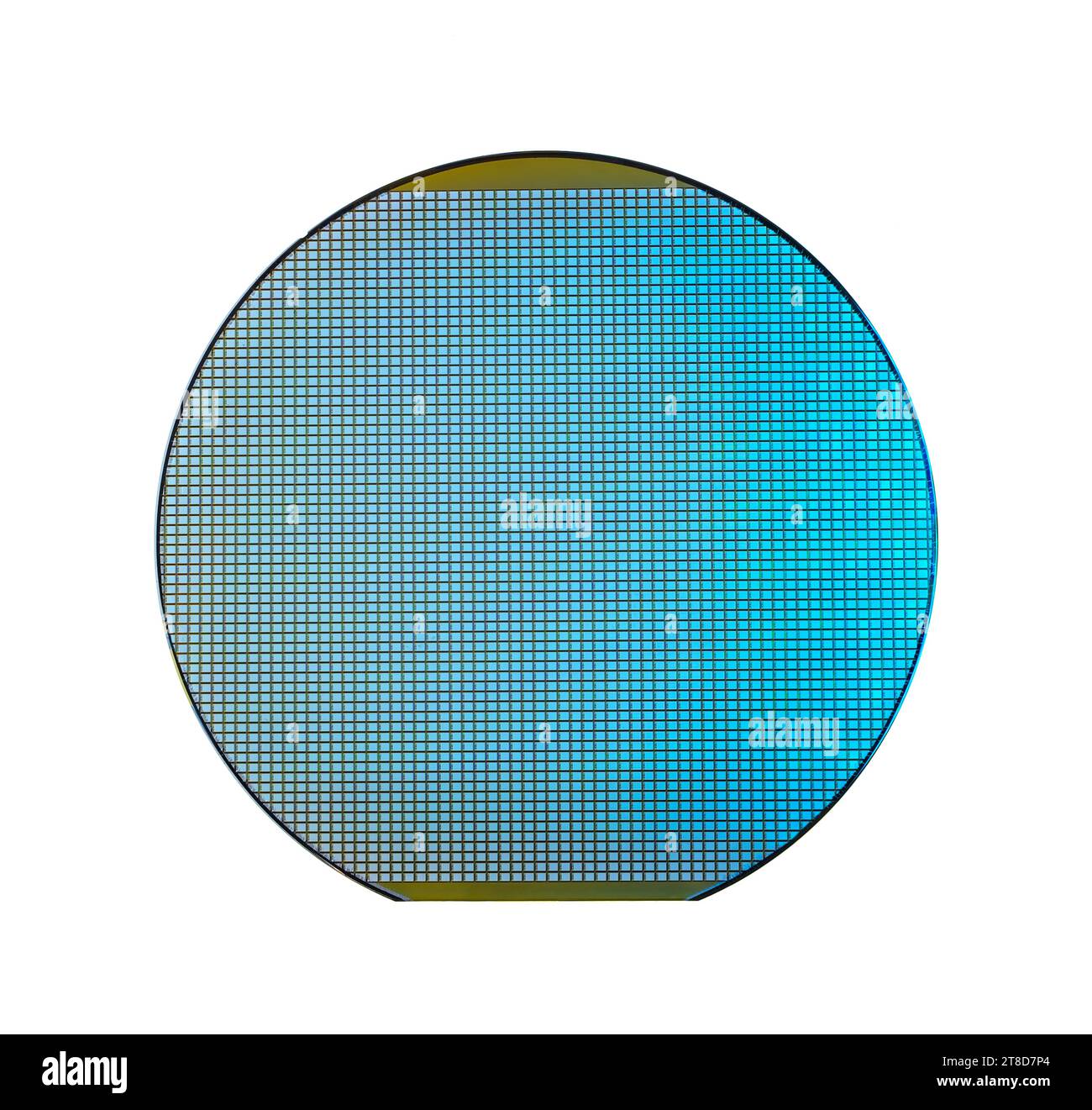 Silicon wafer with chips isolated on white background Stock Photo - Alamy