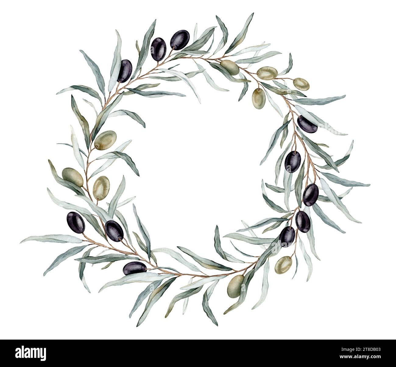 Watercolor olive branch round wreath with black and green fruit and ...