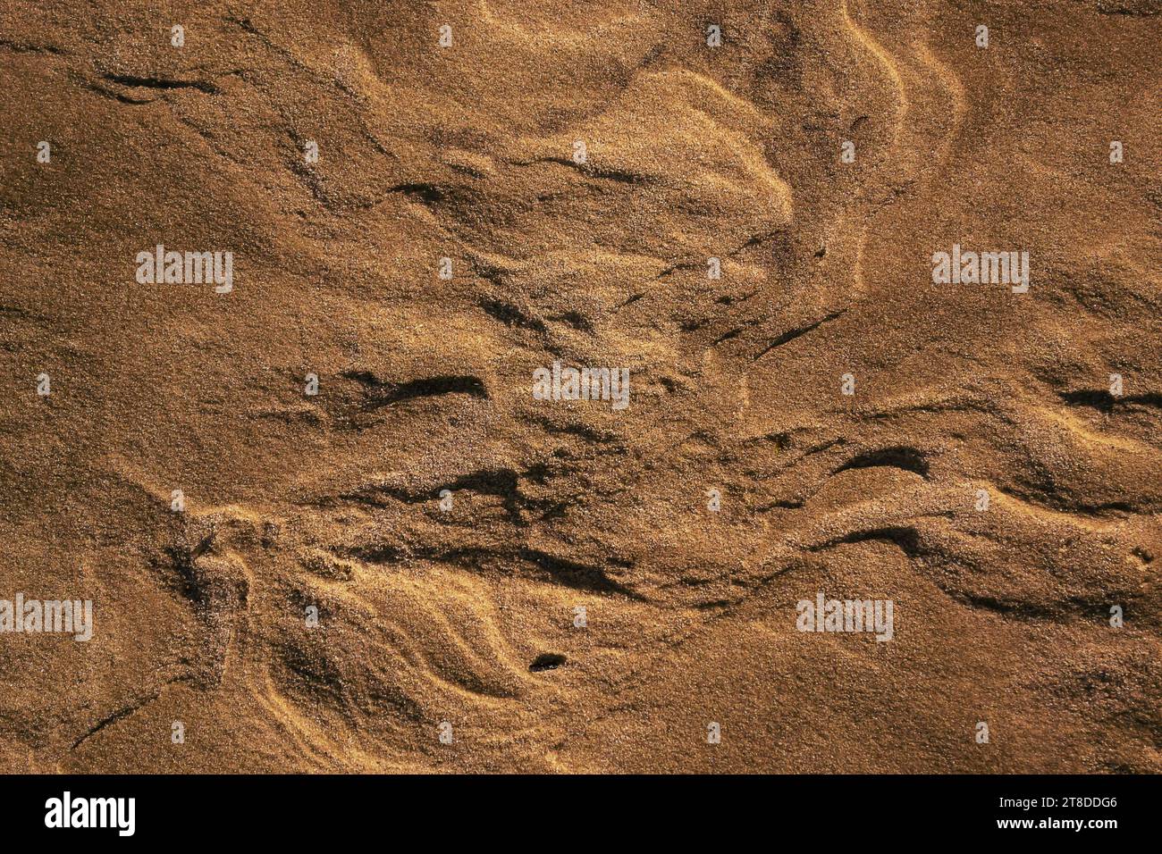 sand abstract background close up Stock Photo