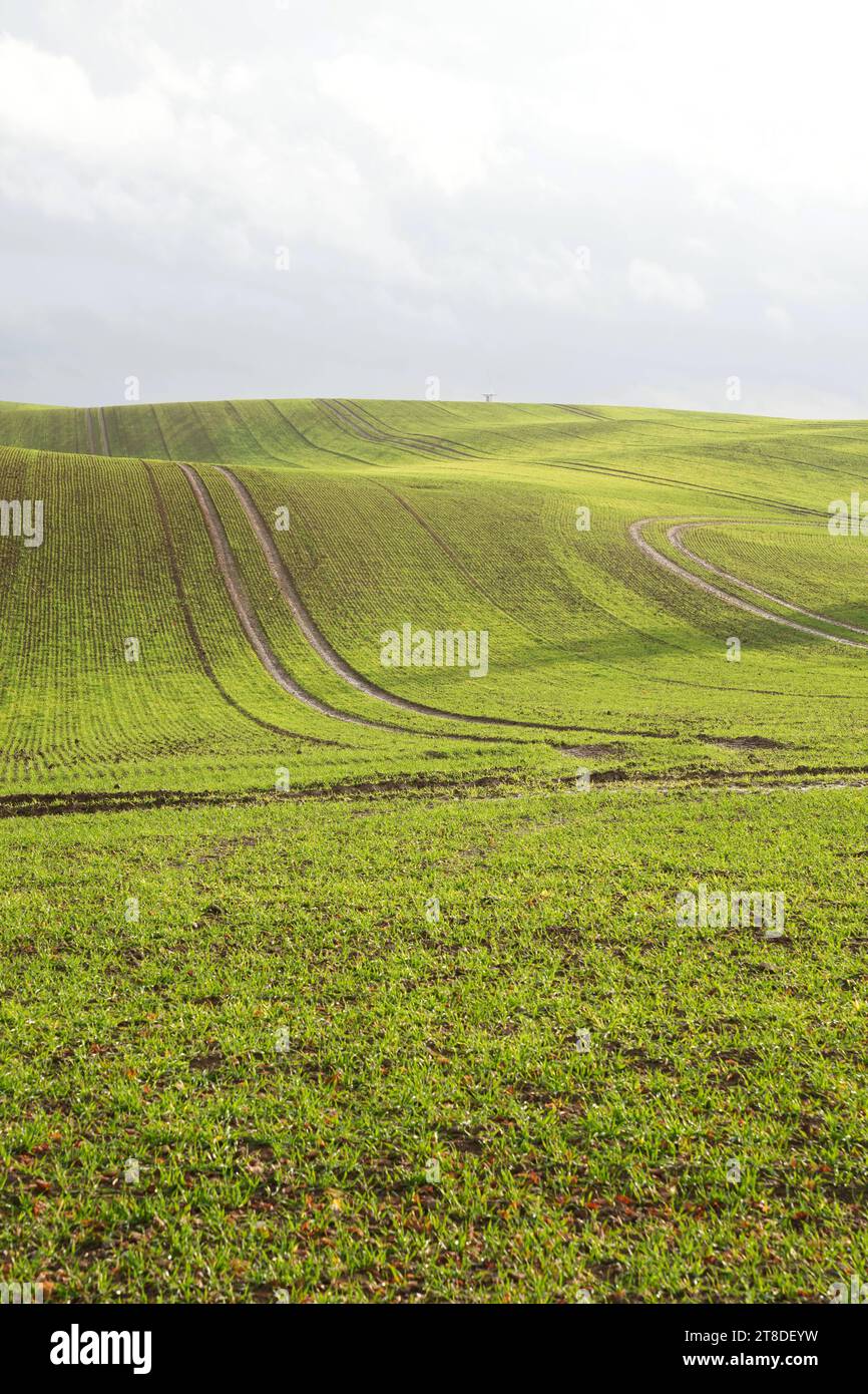 Uckermark GER, Deutschland, 20231119, Landwirtschaft in der Uckermark, Felder *** Uckermark GER, Germany. , . Agriculture in the Uckermark, fields Credit: Imago/Alamy Live News Stock Photo