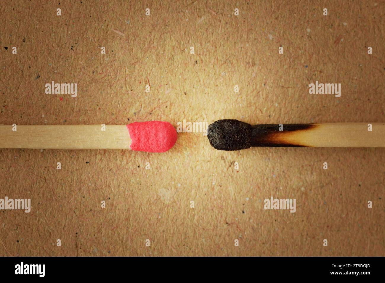 Close Up One New Wooden Match Stick Standing Among Burnt Matches Stick  Stock Photo - Download Image Now - iStock