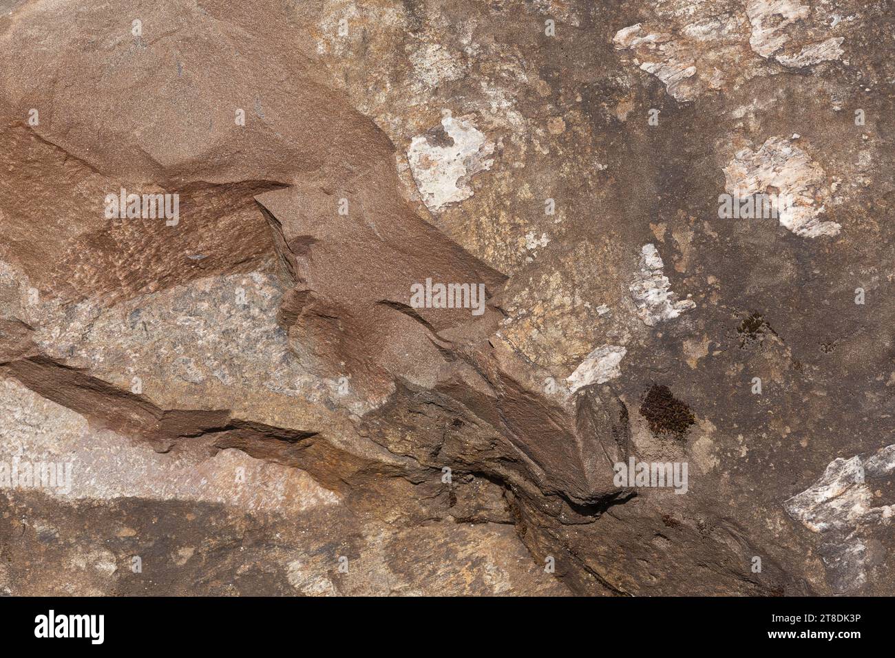 Sand stone texture detail, closeup shot of the rock surface. Background idea Stock Photo