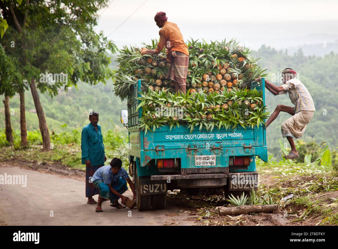 Pineapple truck, Bangladesh Stock Photo
