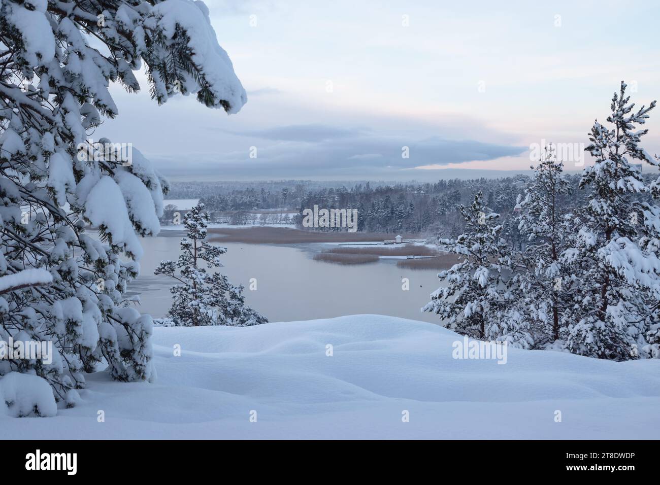 Beautiful snowy forest hi-res stock photography and images - Alamy