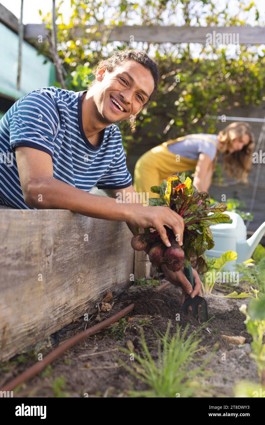 Happy biracial man plucking beetroot and smiling in sunny greenhouse Stock Photo