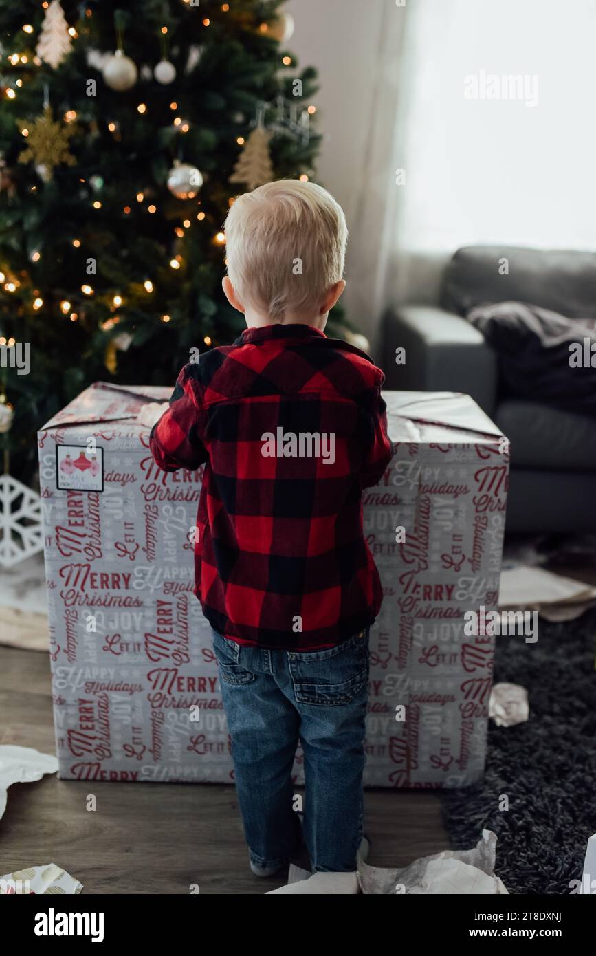 Rear view of little boy opening present in front of christmas tr Stock Photo