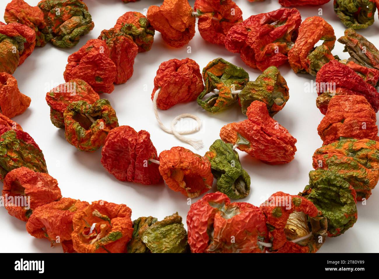 Chain of dried peppers, Biber Kurusu,  on white background close up Stock Photo