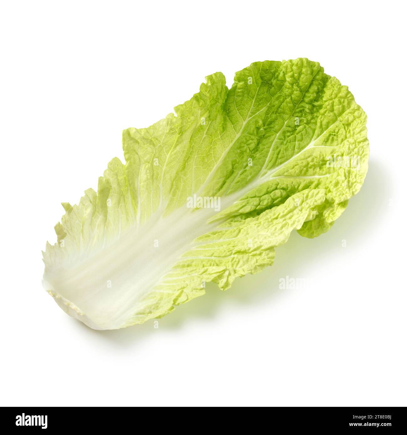 Single fresh raw Chinese cabbage leaf close up isolated on white background Stock Photo