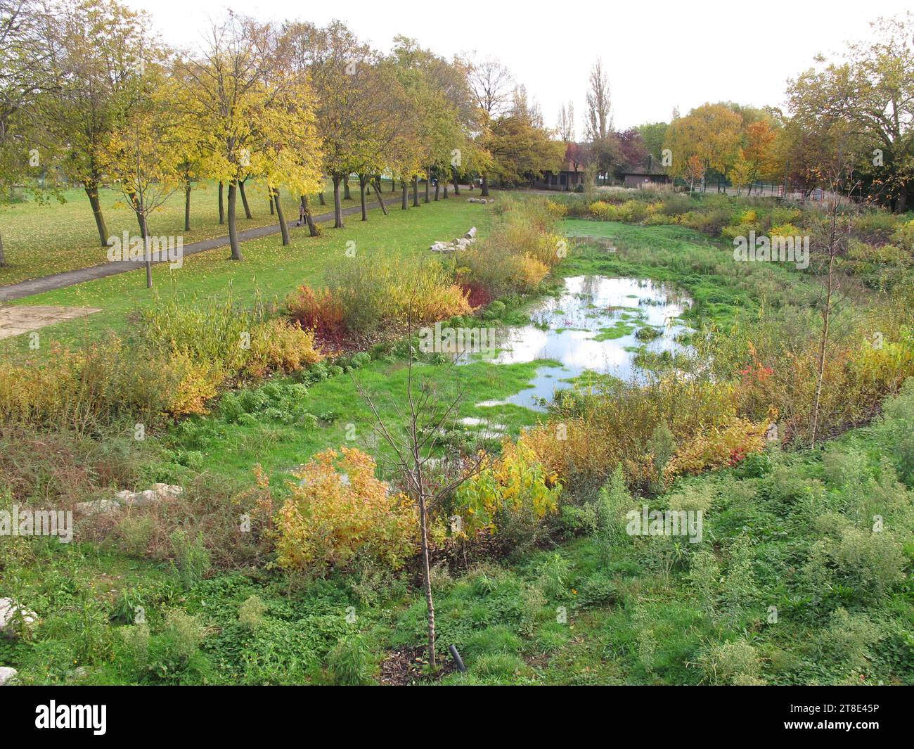 Flood mitigation scheme in Memorial Park, Chingford, London, UK. A Sustainable Urban Drainage Scheme (SUDS) to absorb rain water. Stock Photo