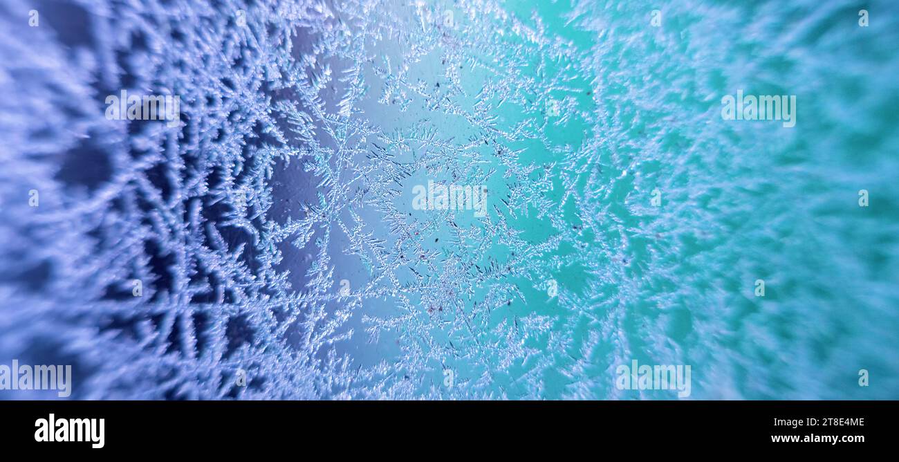 Window ice, crystallization and ice spicule, frost flower like an